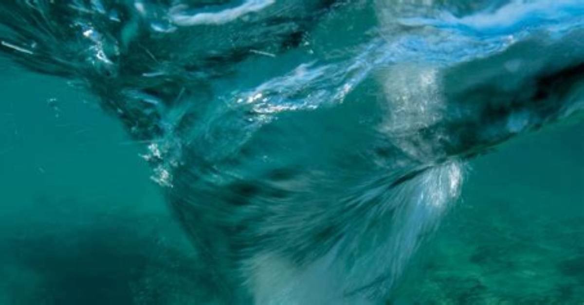 Underwater Tornado