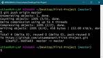 Undoing a 'Git Push'