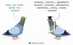 Unison Synonym
