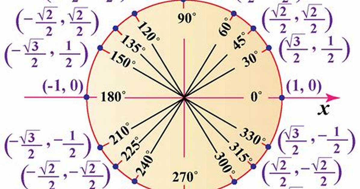 Unit Circle