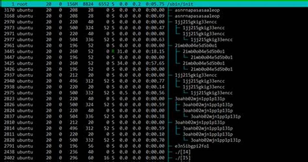 Unknown Processes with High Cpu Utilization Ubuntu on Ec2