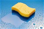 ___ up (Absorb Like a Sponge)