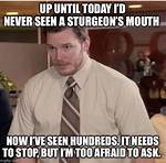 Up Until Today