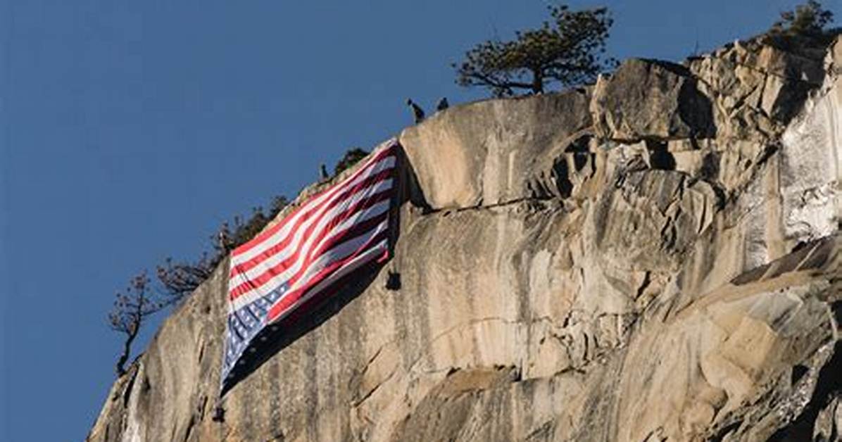 Upside Down Flag 2020
