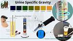 Urinalysis Specific Gravity