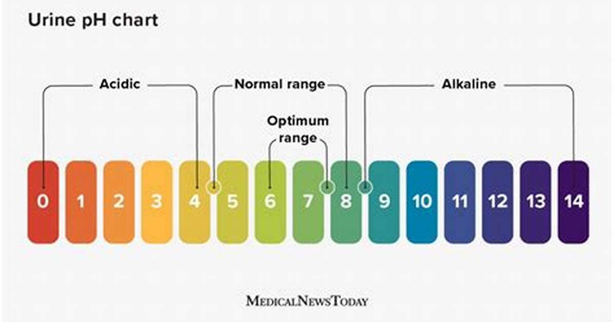 Urine Ph Level Chart