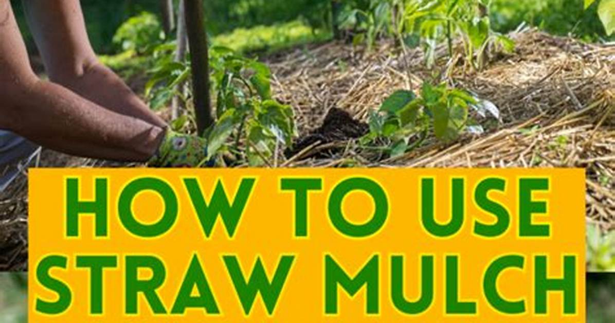 Use a Straw