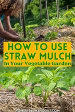 Use a Straw