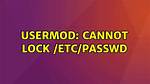 Usermod: Cannot Lock /Etc/Passwd