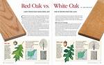 Uses for Red Oak