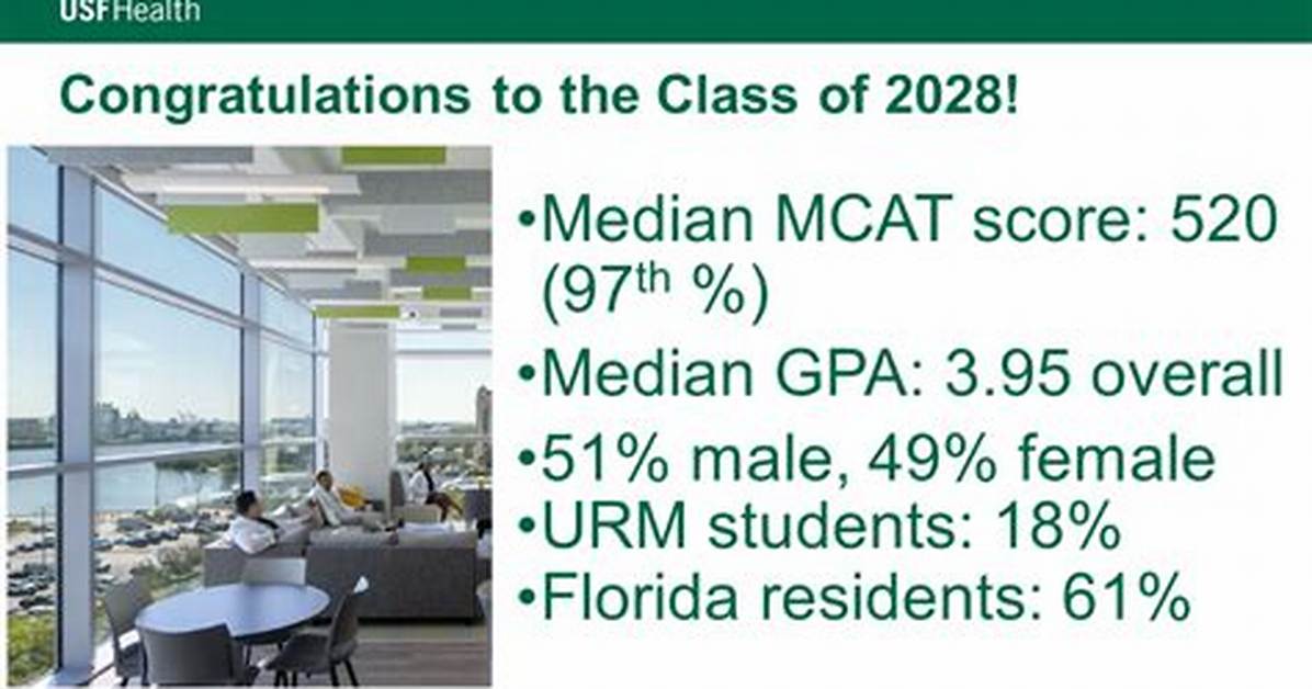 Usf Class Search