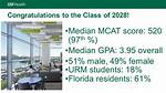 Usf Class Search