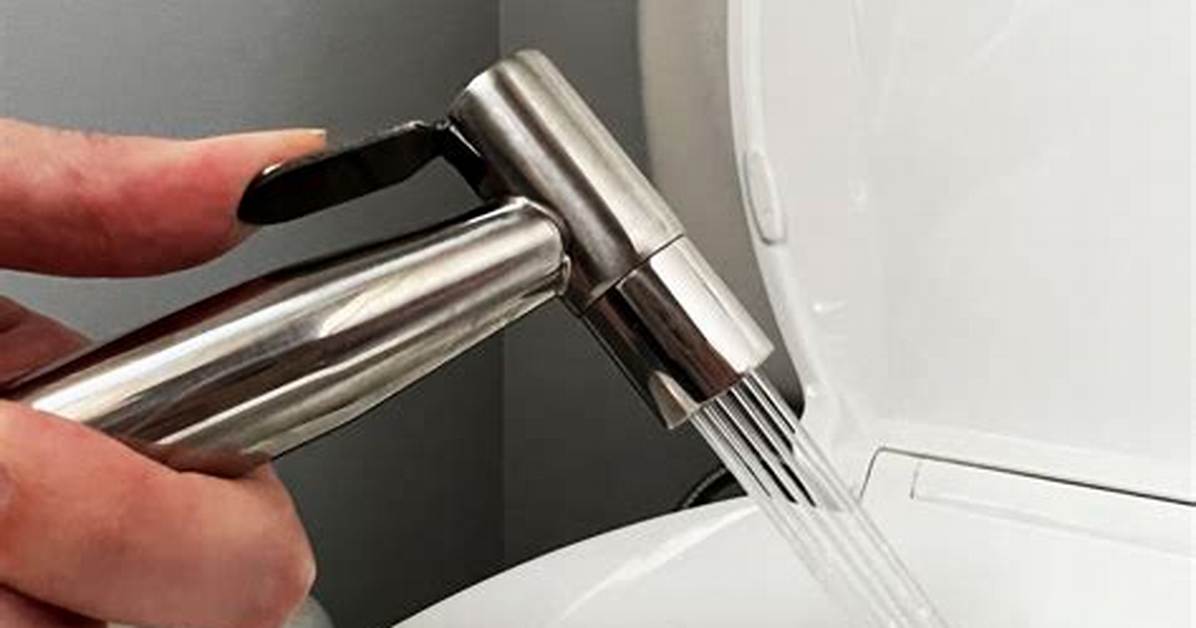 Using a Bidet