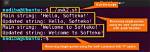Using Awk with Single Quote in a Shell Script Will Output Error [Duplicate]