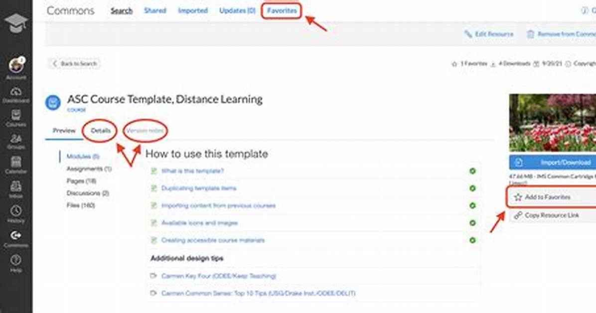 Using Canvas Commons