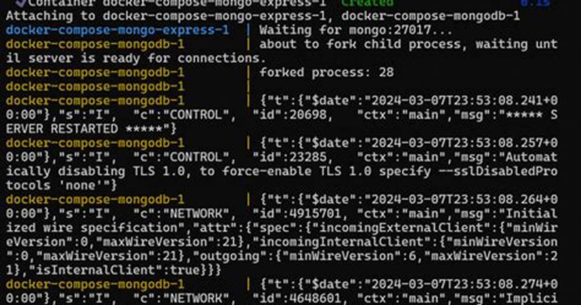 Using Docker-Compose, How to Execute Multiple Commands