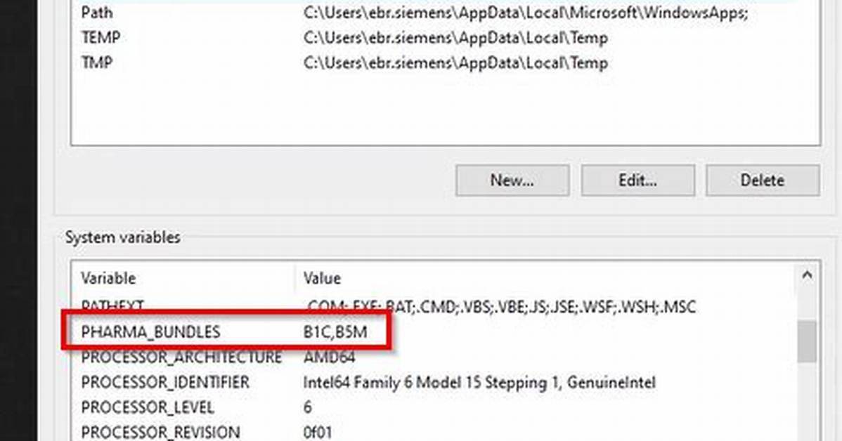 Using Salt Variables