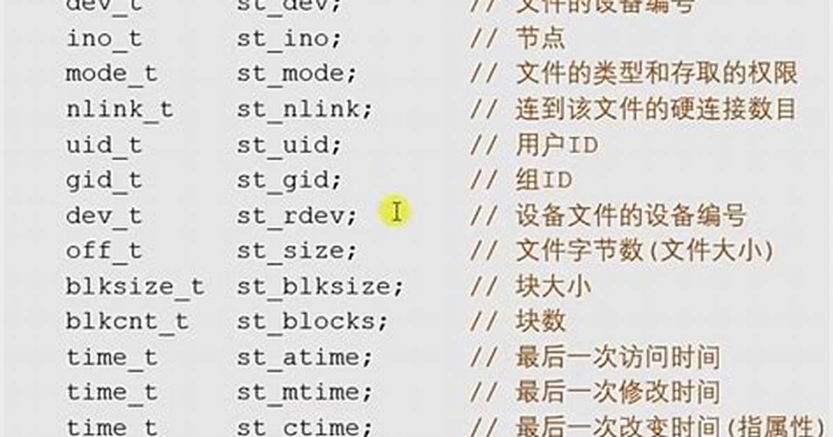 Using Struct Stat()