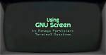 Using the Scrollwheel in Gnu Screen -- Trusty Specific Difference