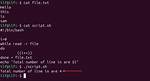 Using "While Read. .." in a Linux Script