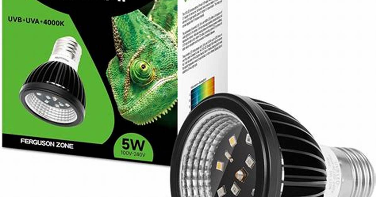 Uvb Bulb