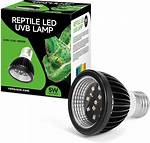 Uvb Bulb
