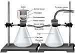 Vacuum Filtration Setup
