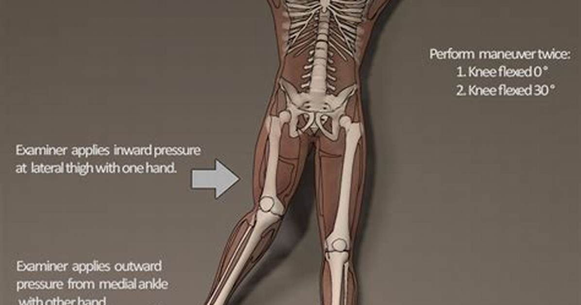 Valgus Force