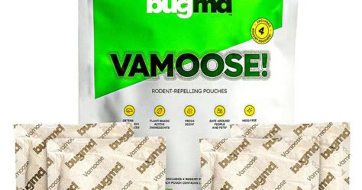 Vamoose!