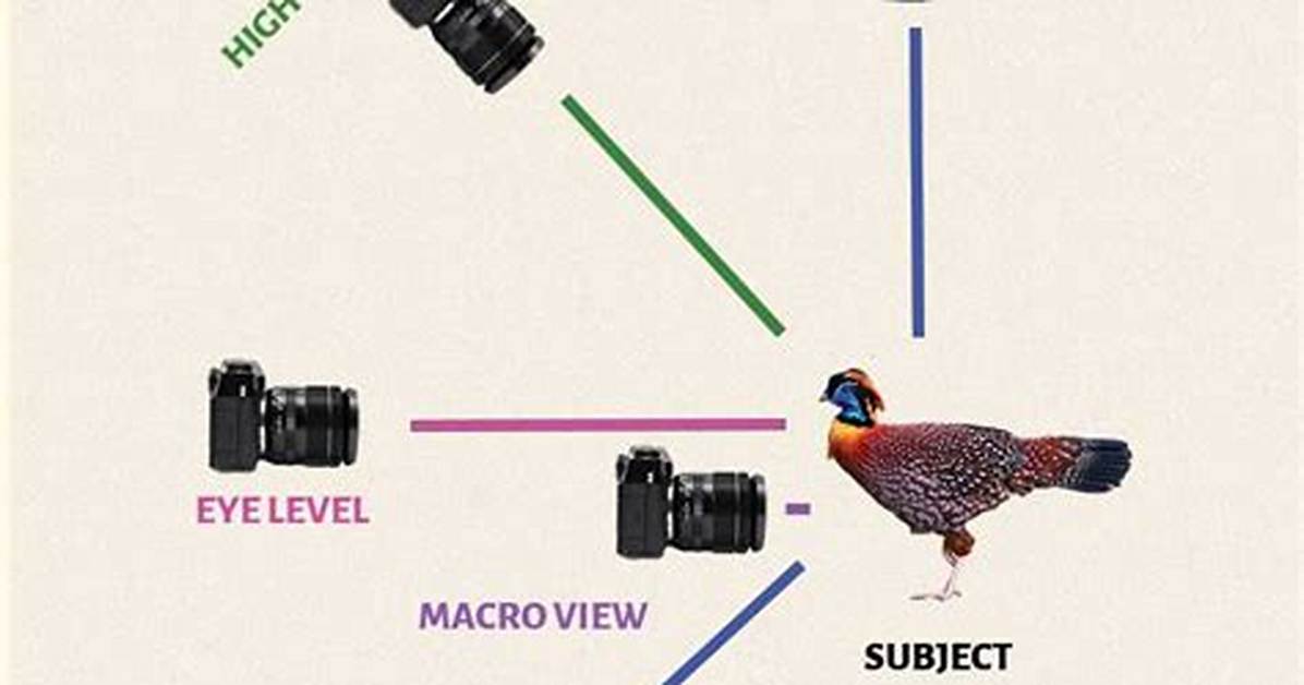 Vantage Point Definition