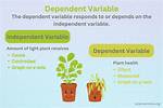 Variable Definition Psychology