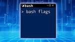 Various Flags in Bash
