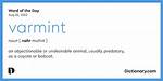 Varmint Definition