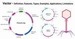 Vector Definition Biology