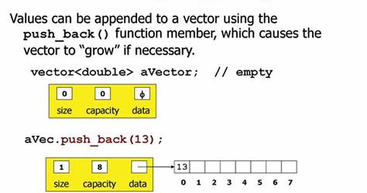 Vector Push_Back