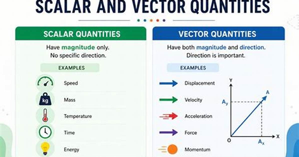 Vector Quantity Examples