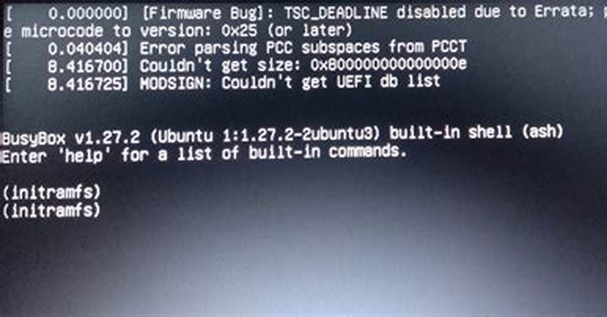 Vega Runtime Error on Linux Mint [Closed]