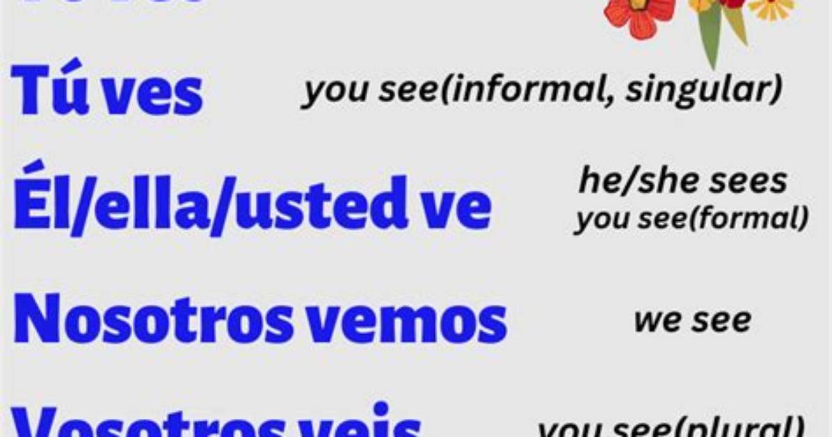 Ver Present Tense
