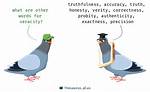 Veracity Synonym