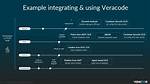 Veracode Scan