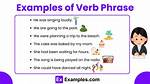 Verb Phrases Examples