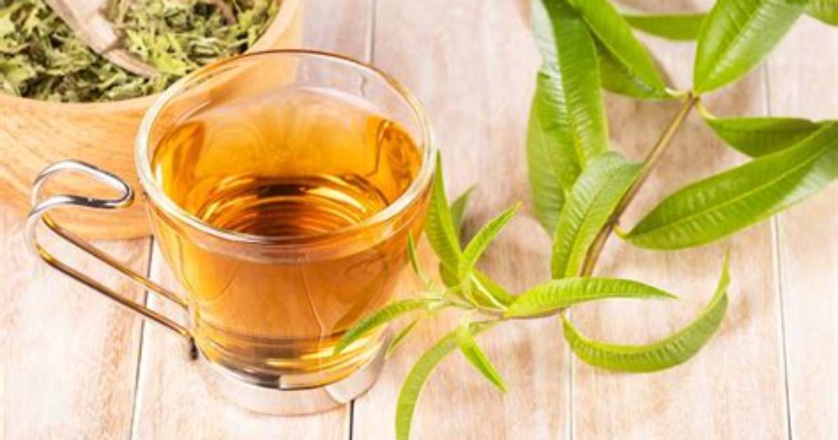 Verbena Tea