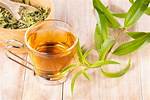 Verbena Tea