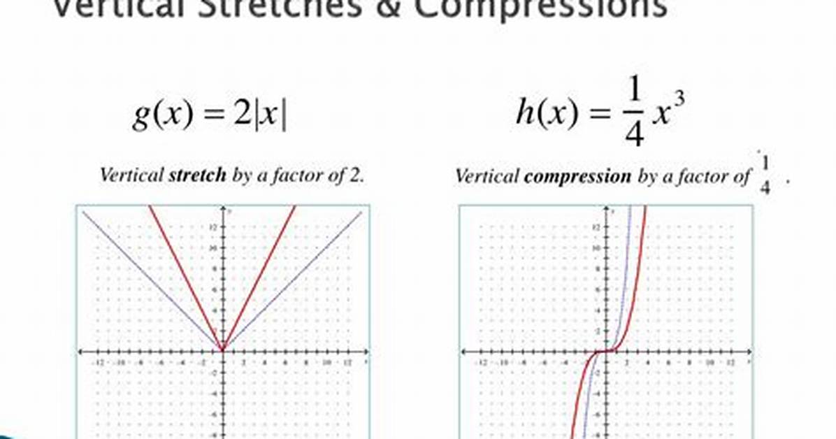 Vertical Stretch and Compression