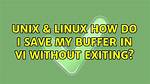Vi: How Do I Save Without Exiting the Editor?
