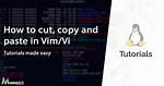 Vi/Vim Editor, Copy a Block (Not Usual Action)
