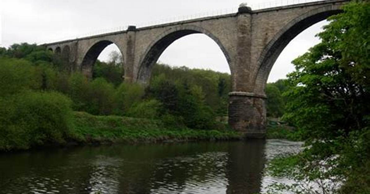 Victoria Viaduct, Washington | Co-Curate