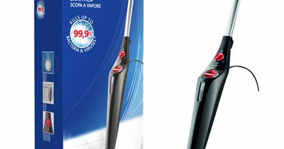 Vileda Steam Mop