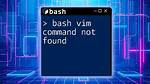 Vim-Latexsuite: /Bin/Bash: Latex Command Not Found