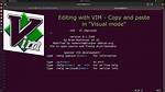 Vim Mode Copy-Paste Not Working on Tmux